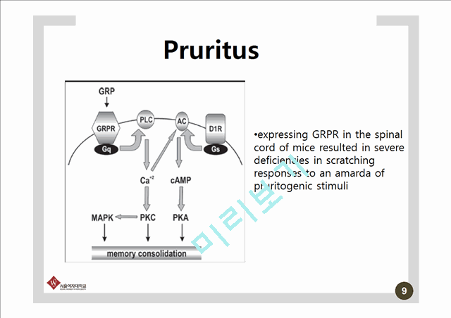 Pathophysiology and therapy of pruritus in allergic and atopic diseases   (9 )